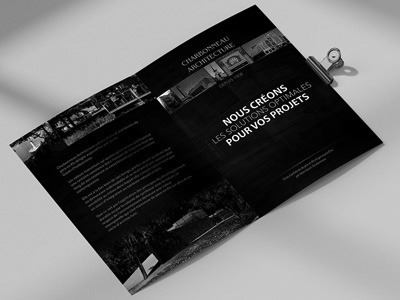 Project Title
